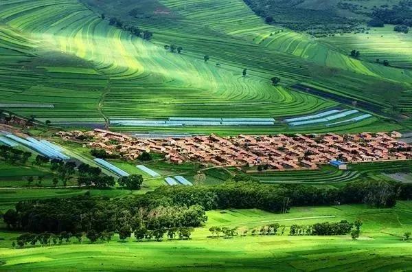 1583831664.jpg 微信圖片_20200310171306.jpg